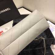 Chanel Hobo Bag AS1461 Gray - 2