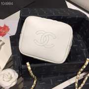 Chanel Lambskin Gold Metal Pink Small Hobo Bag white - 3