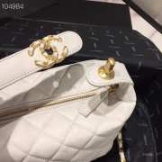 Chanel Lambskin Gold Metal Pink Small Hobo Bag white - 6