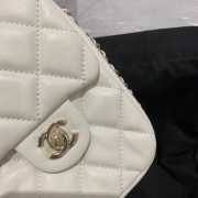 Chanel 2020 handbag AS1345 - 5