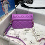 Chanel 2020 Spring Flap Bag - 3