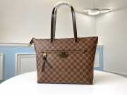 LV Damier Ebene IENA MM Handbag N41013 - 1