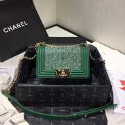  Chane Leboy Bag Green 20cm - 1