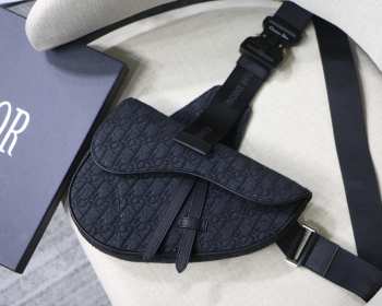 Dior Saddle Bag