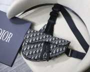 Dior Saddle Bag 001 - 1