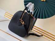 Louis Vuitton SPEEDY Bag with Black 30cm - 2