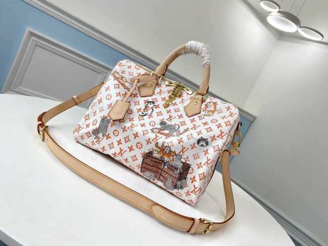 Louis Vuitton Speedy 30 M44400 - 1