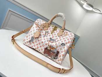 Louis Vuitton Speedy 30 M44400