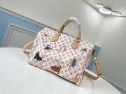 Louis Vuitton Speedy 30 M44400 - 6