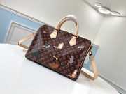 Louis Vuitton Speedy 30 M44401 - 6