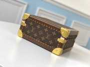 Louis Vuitton Cotteville Travel Box Brown - 2