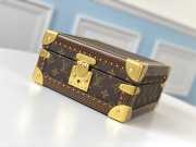 Louis Vuitton Cotteville Travel Box Brown - 3