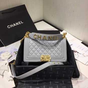 Chanel Leboy Bag Lambskin Gray 25cm