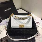 Chanel Leboy Bag Lambskin White 25cm - 1