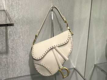 Dior Saddle bag 25cm