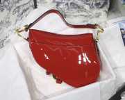 Dior Saddle Bag Red 25cm 004 - 4