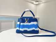 Louis Vuitton CAPUCINES PM Bag - 1