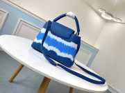 Louis Vuitton CAPUCINES PM Bag - 2