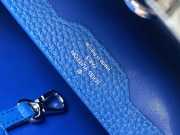 Louis Vuitton CAPUCINES PM Bag - 6