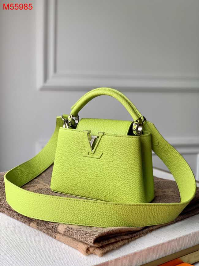 Louis Vuitton Capucine Mini Light Green M55985 21CM - 1