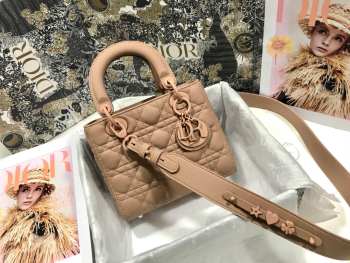 Dior bag 20cm