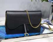 Dior Saddle Wallet on Chain Bag - 1