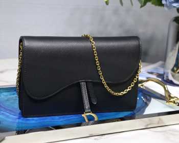 Dior Saddle Wallet on Chain Bag