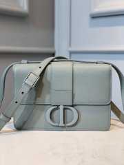 Dior Montaigne Bag 001 - 1