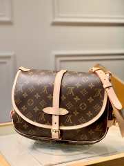 Louis Vuitton Saumur Bag M40710 - 1