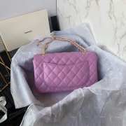 Chanel Flap Bag 23cm 001 - 6