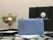 Chanel Flap Bag 25cm 002 - 5