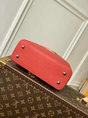 Louis Vuitton Mini Capucines bag 21cm - 4