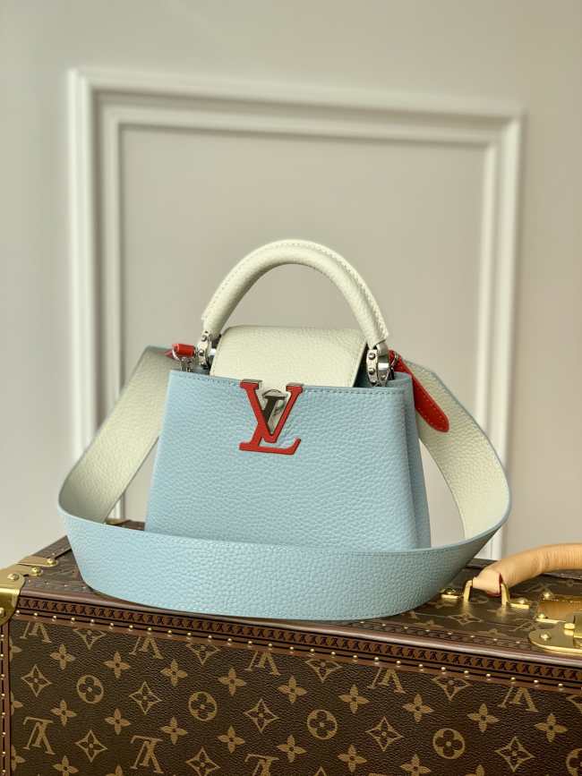 Louis Vuitton Mini Capucines bag 21cm 001 - 1