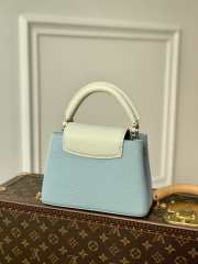 Louis Vuitton Mini Capucines bag 21cm 001 - 3