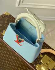 Louis Vuitton Mini Capucines bag 21cm 001 - 5