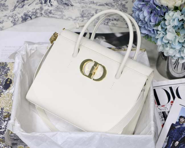 Dior 30 Montaigne Bag 001 - 1