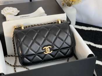 Chanel Handbag 17cm 001