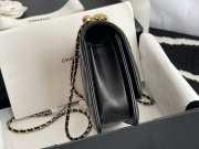 Chanel Handbag 17cm 001 - 5