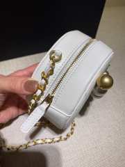 Chanel Accessory bag 001 - 2