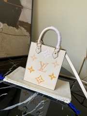 Louis Vuitton Petit Sac Plat bag 002 - 6