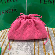 Bottega Veneta The Pouch Bag 004 - 1