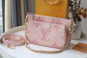 Louis Vuitton Multi Pochette Accessories - 1