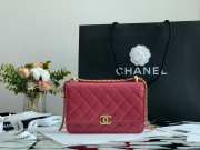 Chanel Calfskin Wallet On Chain Woc Bag 001 19CM - 1