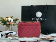 Chanel Calfskin Wallet On Chain Woc Bag 001 19CM - 4