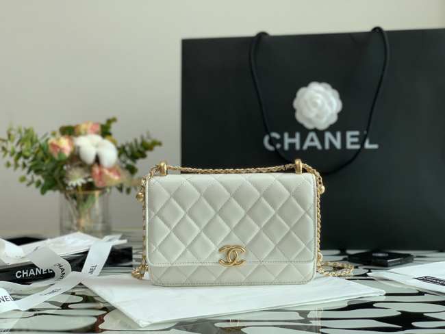 Chanel Calfskin Wallet On Chain Woc Bag 002 19CM - 1