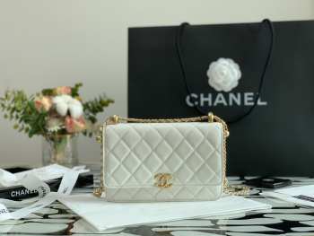 Chanel Calfskin Wallet On Chain Woc Bag 002 19CM