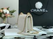 Chanel Calfskin Wallet On Chain Woc Bag 002 19CM - 6