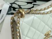 Chanel Calfskin Wallet On Chain Woc Bag 002 19CM - 4