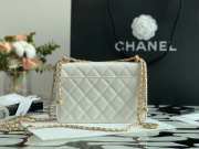 Chanel Calfskin Wallet On Chain Woc Bag 002 19CM - 2