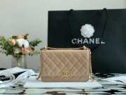 Chanel Calfskin Wallet On Chain Woc Bag 003 19CM - 1